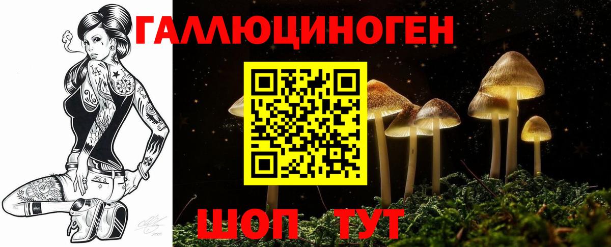 Галлюциногенные грибы Psilocybe  Вход с VPN  Великий Новгород 